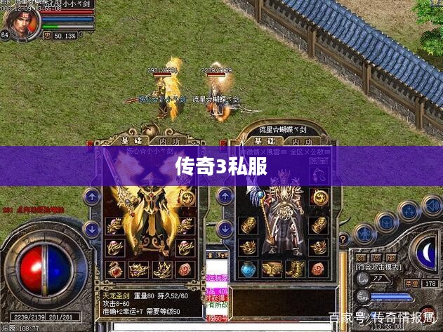 新开传奇3私服，探索游戏新世界