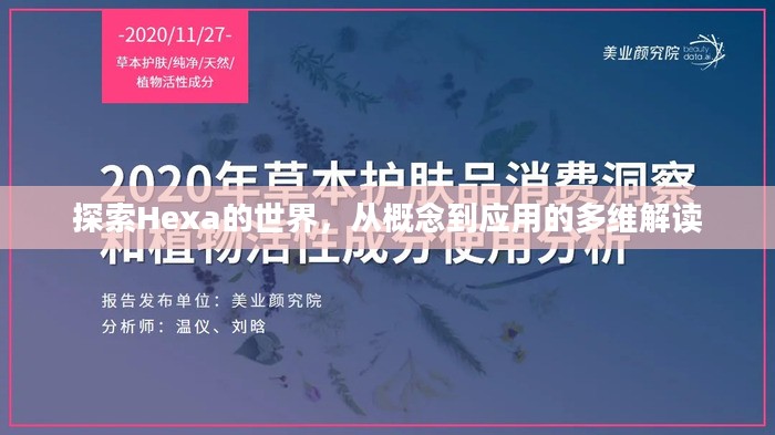 探索Hexa的世界，从概念到应用的多维解读