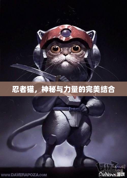 忍者猫，神秘与力量的完美结合