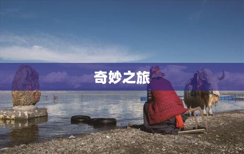 环游世界的奇妙之旅