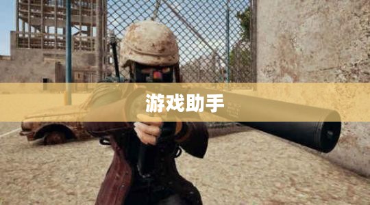 绝地求生助手：游戏中的得力助手