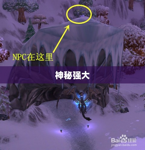 冬泉霜刃豹，神秘而强大的存在