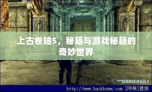 上古卷轴5，秘籍与游戏秘籍的奇妙世界