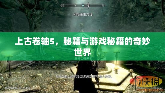 上古卷轴5，秘籍与游戏秘籍的奇妙世界
