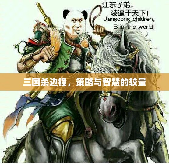 三国杀边锋，策略与智慧的较量