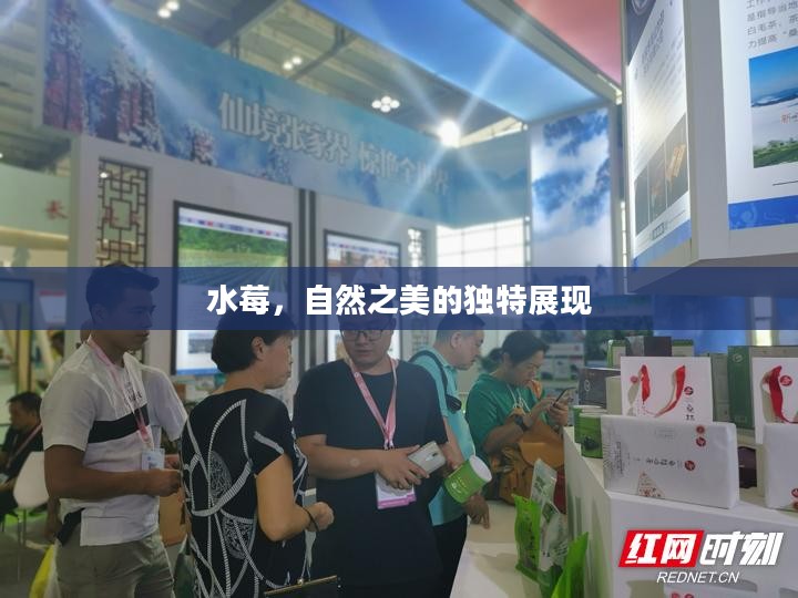水莓，自然之美的独特展现