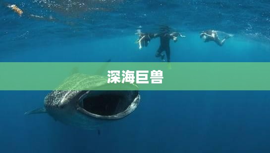 深海巨兽,神秘而震撼的海洋巨兽世界 深海巨兽,神秘而震撼的海洋巨兽世界