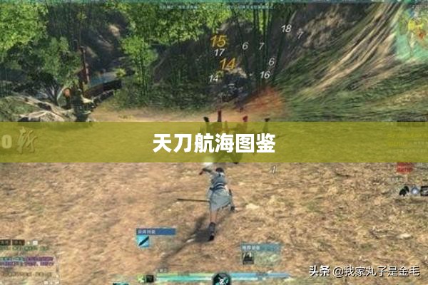 天刀航海图鉴，探索未知海域的无尽奥秘