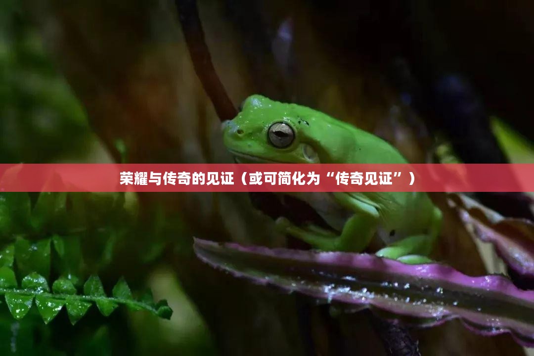 魔兽世界英雄榜，荣耀与传奇的见证