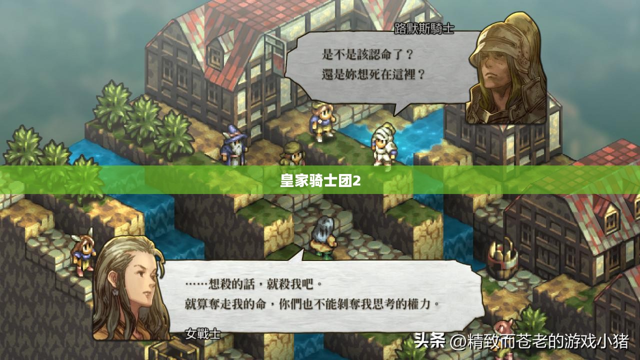 皇家骑士团2全面攻略