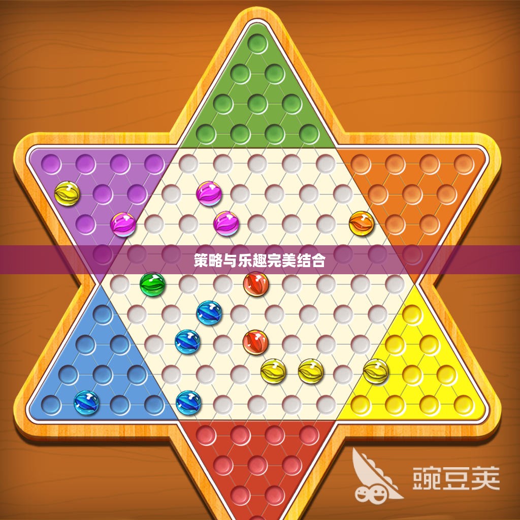 跳棋游戏，策略与乐趣的完美结合
