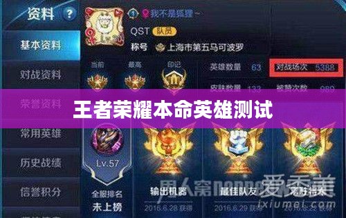 王者荣耀本命英雄测试，探寻你的英雄之路