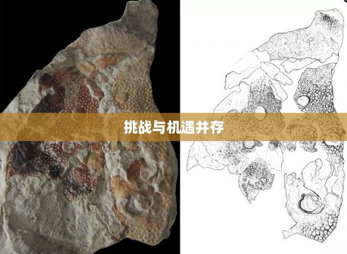 外来物种,挑战与机遇并存 外来物种,挑战与机遇并存