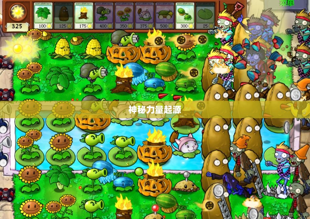 寒冰符文,神秘力量的起源与奥秘 寒冰符文,神秘力量的起源与奥秘