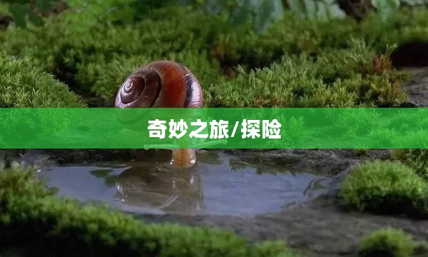 墨虾探蝌的世界，一场微观世界的奇妙之旅