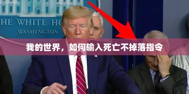 我的世界，如何输入死亡不掉落指令