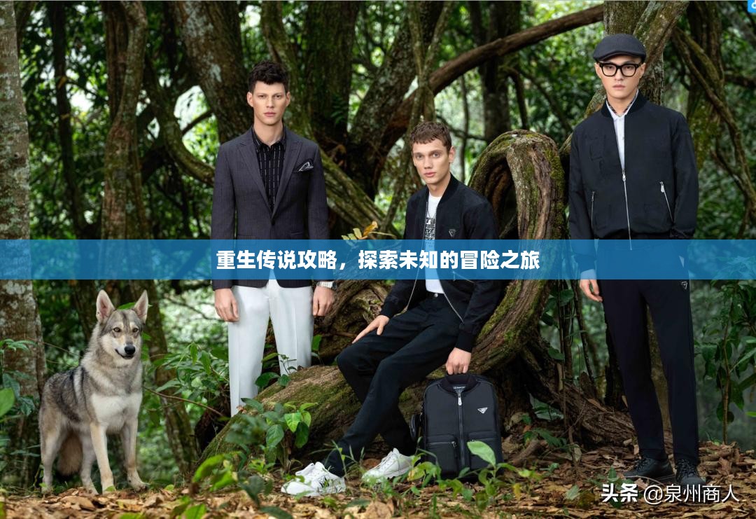 重生传说攻略，探索未知的冒险之旅