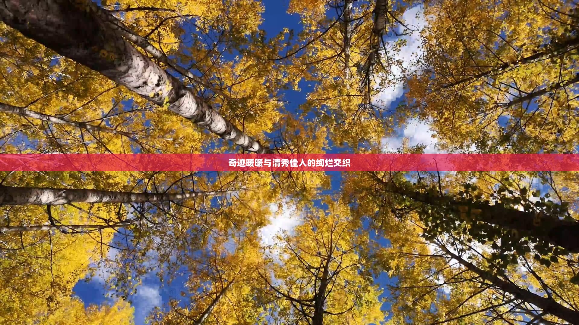 奇迹暖暖与清秀佳人的绚烂交织