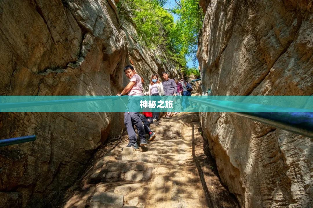 六魔包的神秘之旅