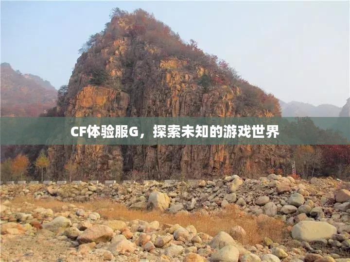 CF体验服G,探索未知的游戏世界 CF体验服G,探索未知的游戏世界