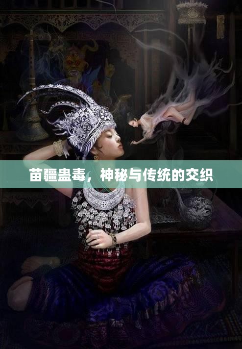 苗疆蛊毒，神秘与传统的交织