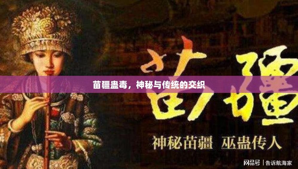 苗疆蛊毒，神秘与传统的交织