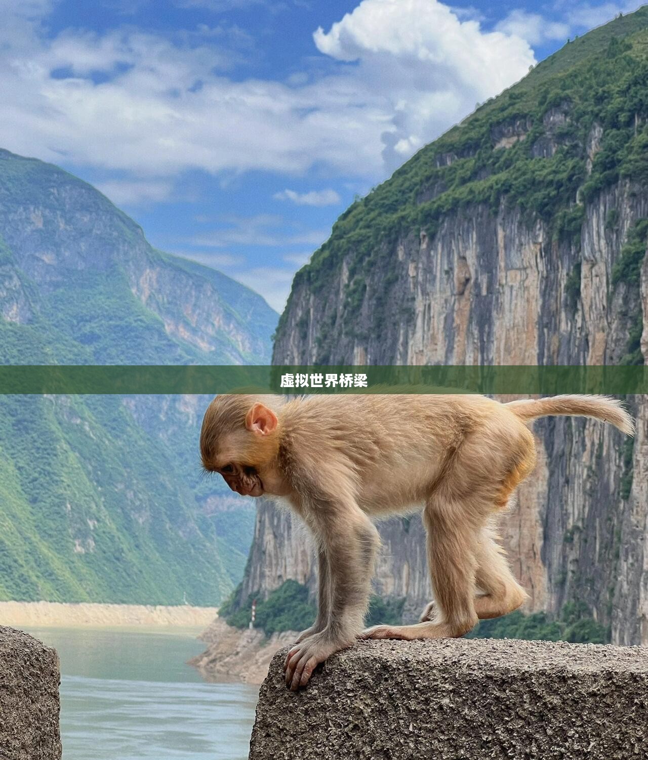 免费手机网游,连接虚拟世界的桥梁 免费手机网游,连接虚拟世界的桥梁