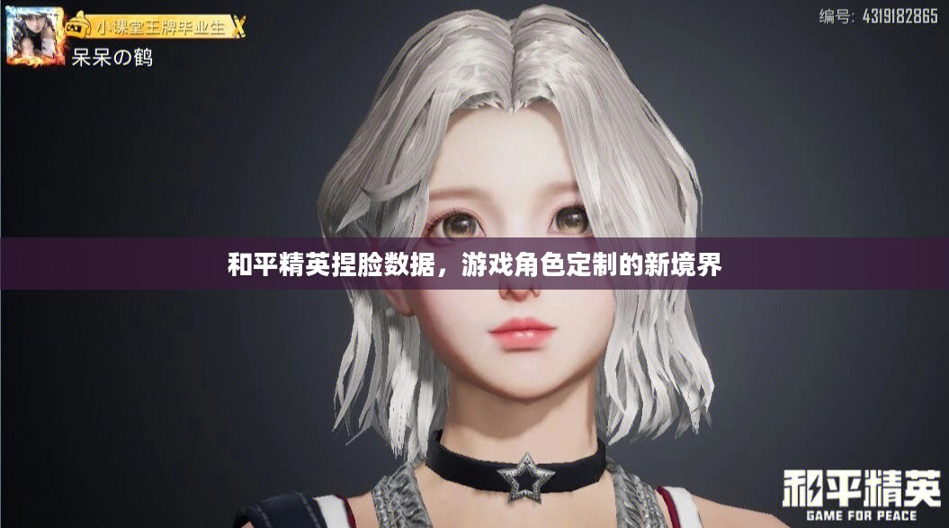 和平精英捏脸数据，游戏角色定制的新境界