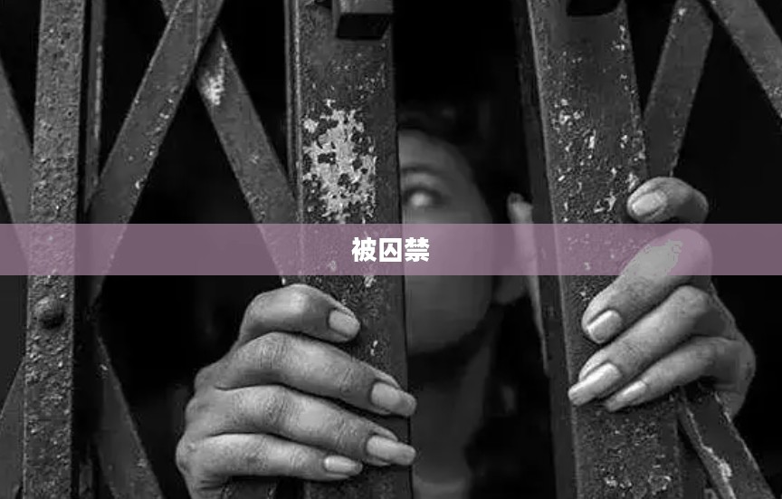 被囚禁于手中的你 被囚禁于手中的你