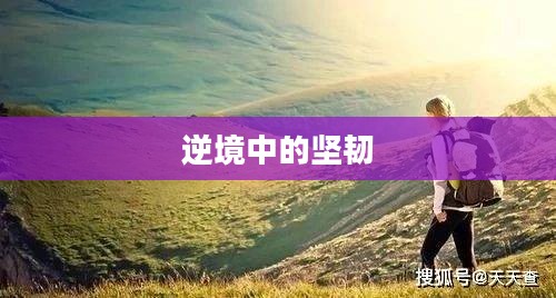 求生之旅，逆境中的坚韧与希望