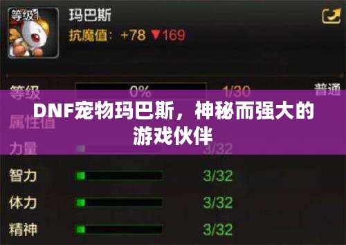 DNF宠物玛巴斯，神秘而强大的游戏伙伴