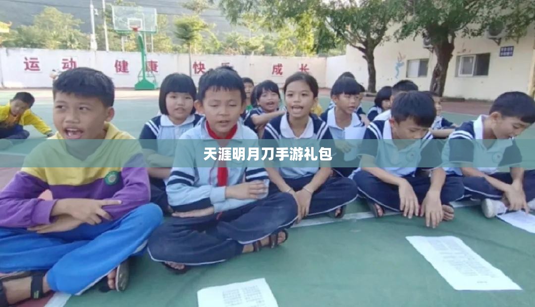 天涯明月刀手游礼包，游戏玩家的福利与攻略
