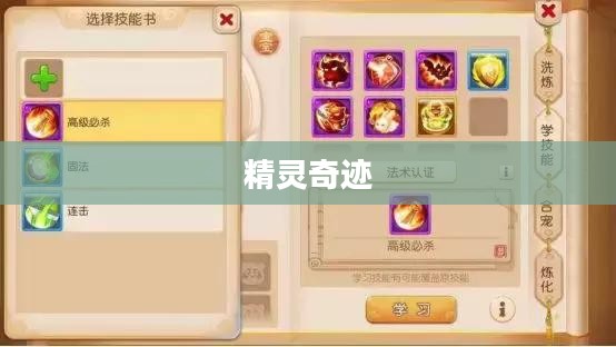 精灵奇迹，梦幻之旅的绚烂绽放