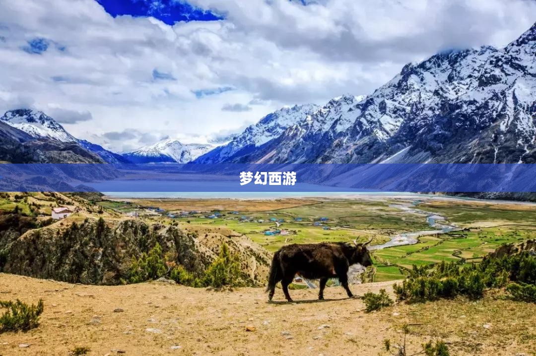 梦幻西游开区时间表详解 梦幻西游开区时间表详解