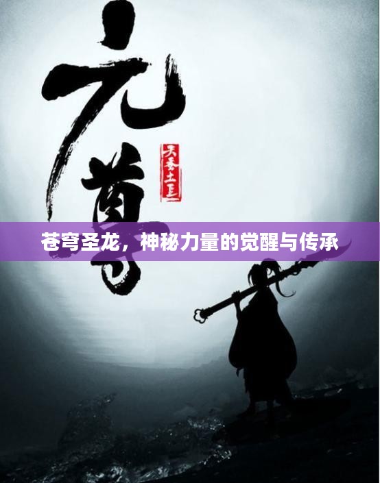 苍穹圣龙，神秘力量的觉醒与传承