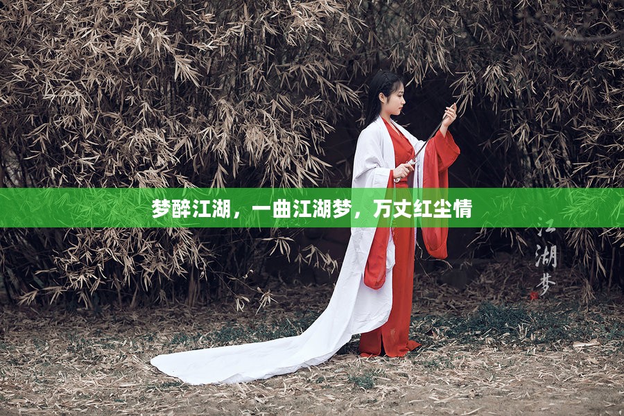 梦醉江湖,一曲江湖梦,万丈红尘情 梦醉江湖,一曲江湖梦,万丈红尘情