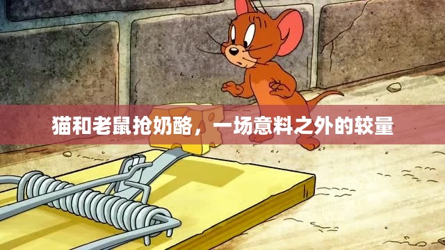 猫和老鼠抢奶酪，一场意料之外的较量