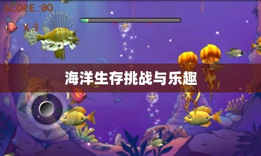 小鱼吃大鱼游戏，海洋生存的挑战与乐趣