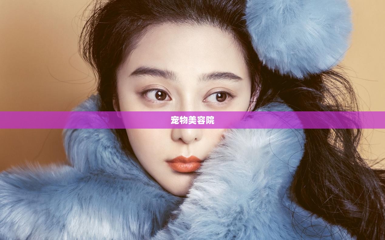 宠物美容院的魅力与重要性