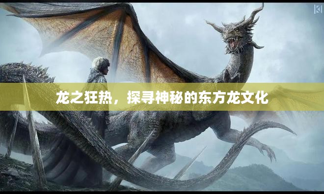 龙之狂热，探寻神秘的东方龙文化