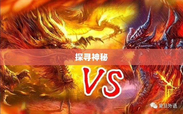 龙之狂热，探寻神秘的东方龙文化