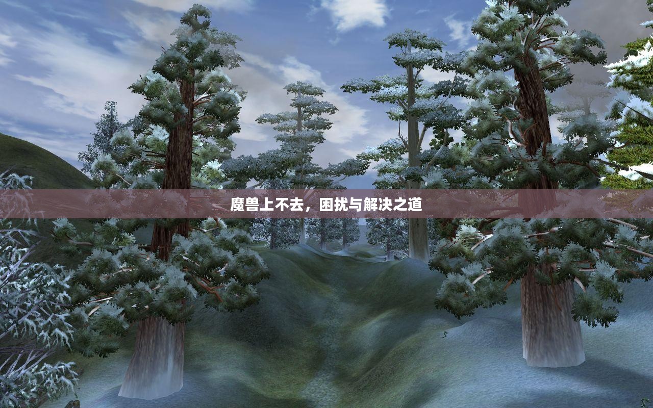 魔兽上不去，困扰与解决之道