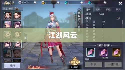 风色群英传，江湖风云与英雄传奇