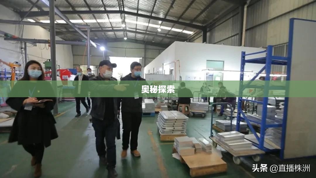 探索vn加点的奥秘