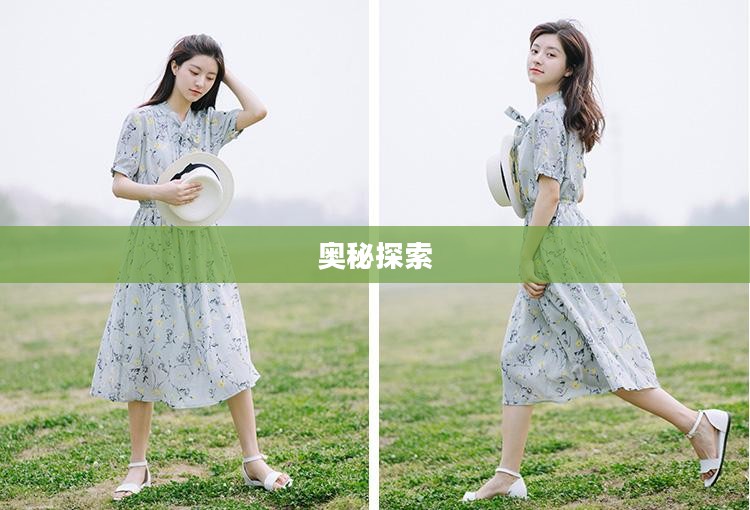 探索vn加点的奥秘 探索vn加点的奥秘
