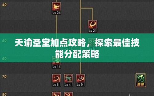 天谕圣堂加点攻略，探索最佳技能分配策略