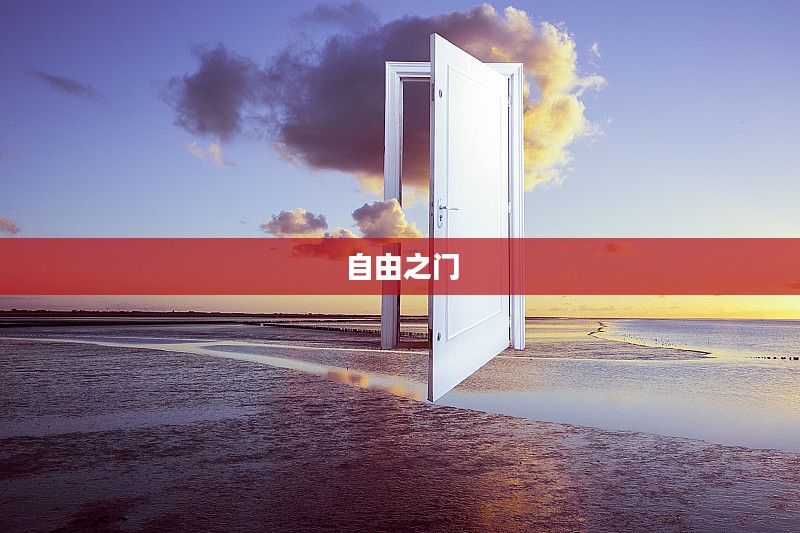 自由之门，探索与下载的无限可能
