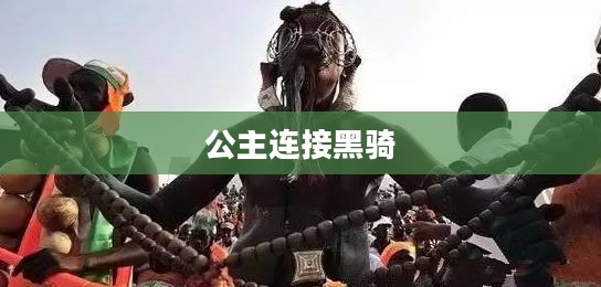 公主连接中的黑骑，神秘与力量的象征