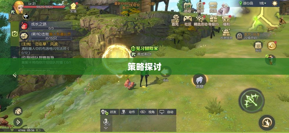 龙之谷职业深度分析与策略探讨