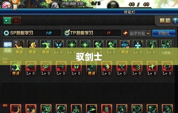 驭剑士刷图加点攻略 驭剑士刷图加点攻略